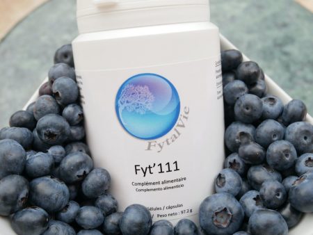fyt'111®-1